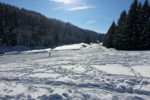 20150207_132323-1 Nové město - v zimě běžky, v létě kolo
